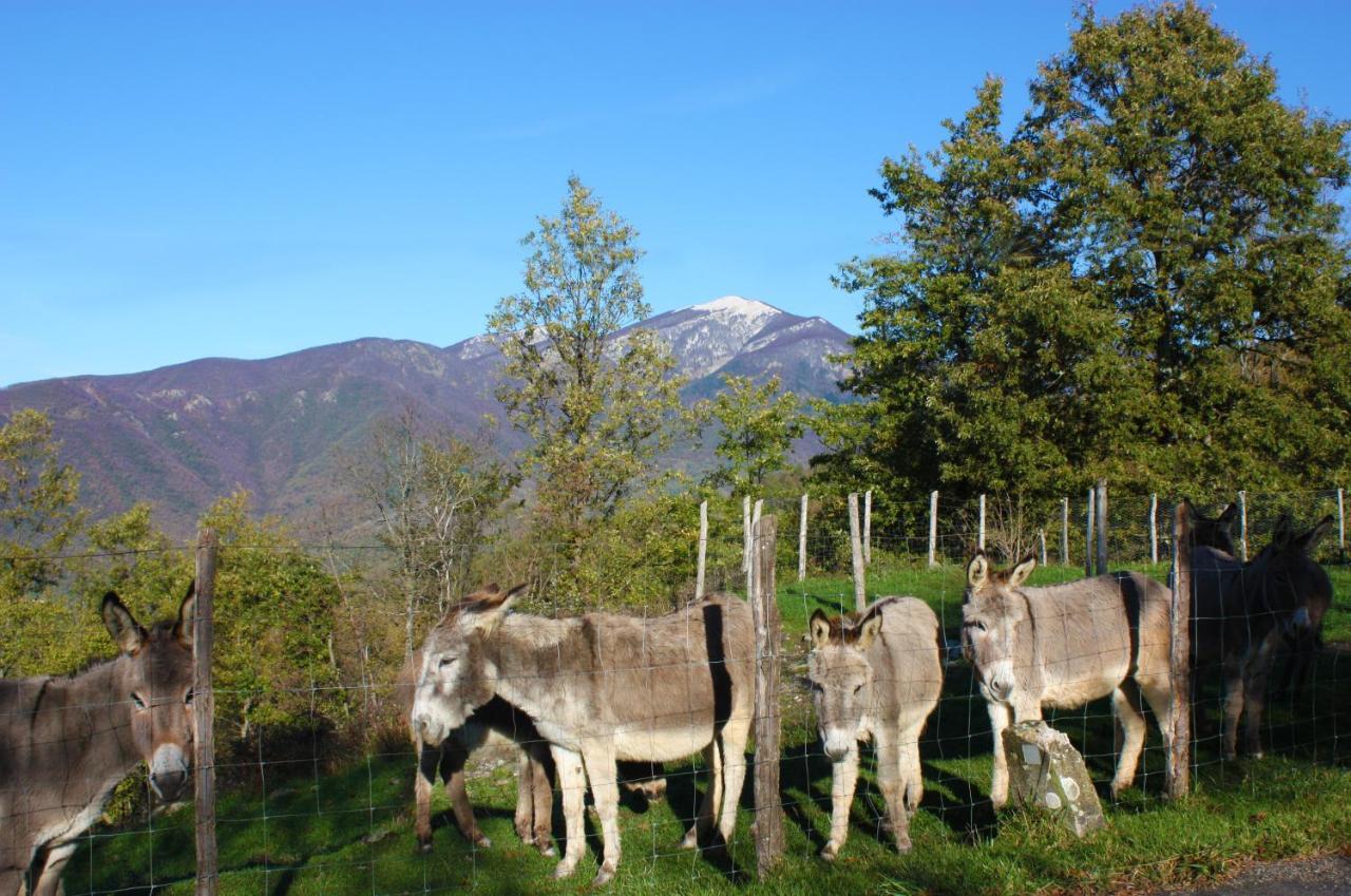 Terra Del Bosco Agriturismo Sesta Godano Dış mekan fotoğraf