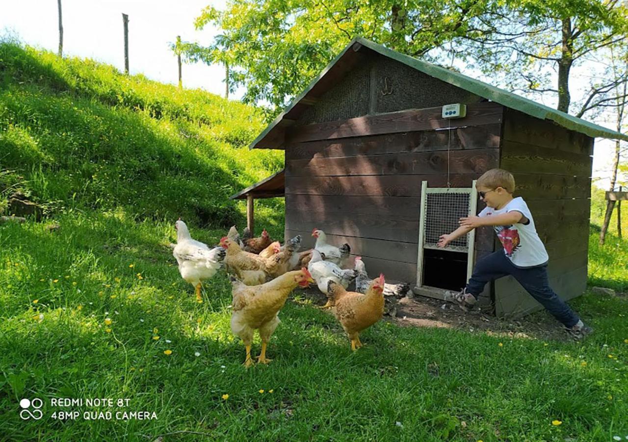 Terra Del Bosco Agriturismo Sesta Godano Dış mekan fotoğraf